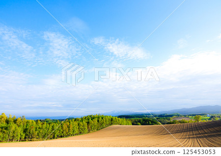 Early summer scenery in agriculturally-rich Biei town, Hokkaido 125453053
