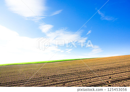 Early summer scenery in agriculturally-rich Biei town, Hokkaido Early summer scenery in agriculturally-rich Biei town, Hokkaido 125453056