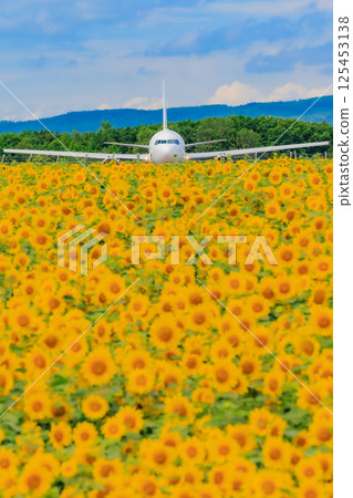 向日葵和飛機的對比 125453138