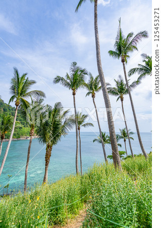 Beautiful beach background, Natural landscape with coconut palm trees on the beach at Phuket Thailand,Beach and sea in sunny day, Beach sea space area nature background 125453271