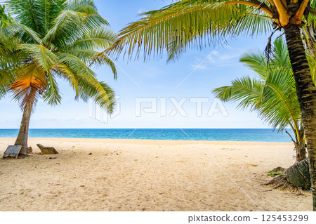 Beautiful beach background, Natural landscape with coconut palm trees on the beach at Phuket Thailand,Beach and sea in sunny day, Beach sea space area nature background Beautiful beach background, Natural landscape with coconut palm trees on the beach at Phuket Thailand,Beach and sea in sunny day, Beach sea space area nature background 125453299