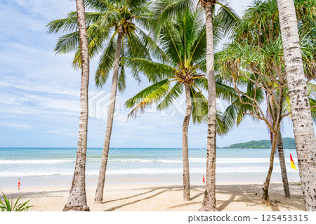 Beautiful beach background, Natural landscape with coconut palm trees on the beach at Phuket Thailand,Beach and sea in sunny day, Beach sea space area nature background Beautiful beach background, Natural landscape with coconut palm trees on the beach at Phuket Thailand,Beach and sea in sunny day, Beach sea space area nature background 125453315