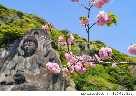 [千葉縣]鋸山 - 日本寺廟，春天櫻花盛開，大佛廣場 125453832