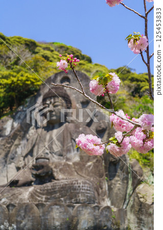 [千葉縣]鋸山 - 日本寺廟，春天櫻花盛開，大佛廣場 125453833