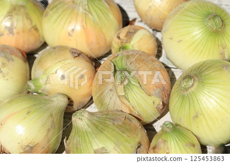 Dried onion 125453863