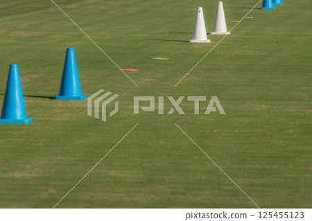 Cones lined up on the grass Cones lined up on the grass 125455123