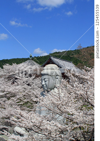 The Great Buddha of the cherry blossoms The Great Buddha of the cherry blossoms 125455539