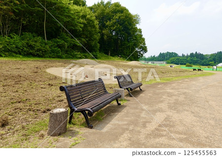 Special Historic Site Sannai Maruyama Ruins: A view of the circular stone tomb and benches in Aomori City, Aomori Prefecture 125455563