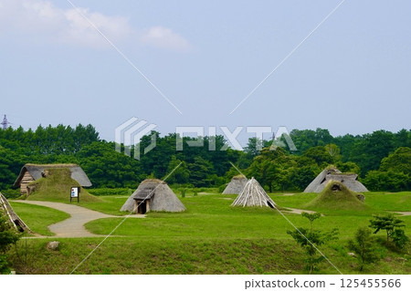 青森縣青森市三內丸山遺址，繩文村，重建的住宅散佈在寬闊的草坪上 125455566