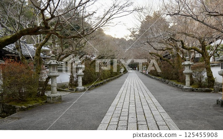 南禪寺參道 南禪寺參道 125455908