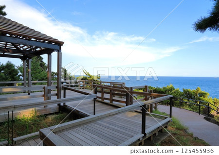 靜岡縣伊東市城崎海岸 靜岡縣伊東市城崎海岸 125455936