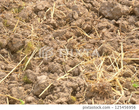 soil 125456956
