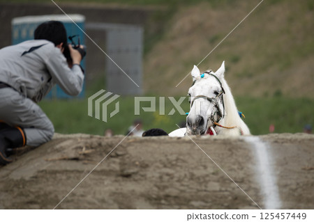 東北挽馬大賽:一匹挽馬和一位攝影師正在接近障礙物 東北挽馬大賽:一匹挽馬和一位攝影師正在接近障礙物 125457449