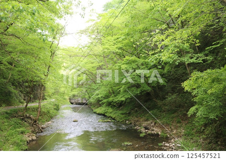 Taishaku Gorge in early summer Taishaku Gorge in early summer 125457521