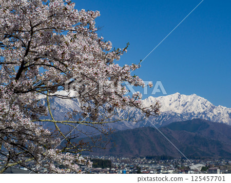 北阿爾卑斯山的春天和長野縣大町的街景 125457701