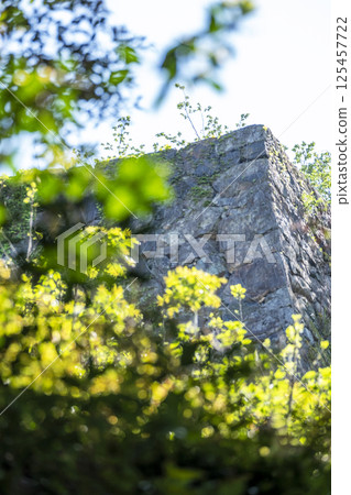 Fresh greenery at the Yonago Castle ruins 125457722