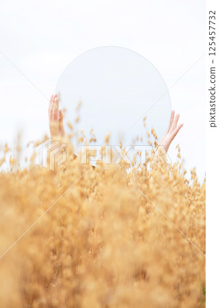 Surreal Mirror in A Field of Gold Surreal Mirror in A Field of Gold 125457732