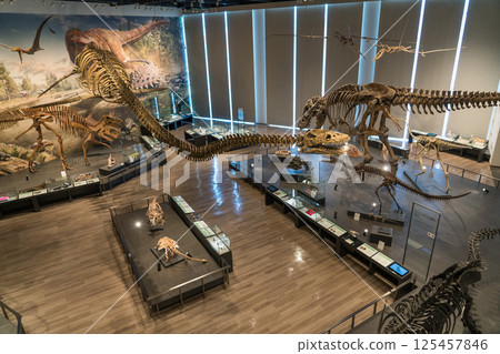 Nagasaki Dinosaur Museum Nagasaki Dinosaur Museum 125457846