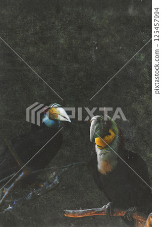 Portrait of colorful female wreathed hornbill birds sitting on the branch Portrait of colorful female wreathed hornbill birds sitting on the branch 125457994
