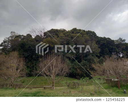 Panoramic view of Yuzuki Castle 125458225
