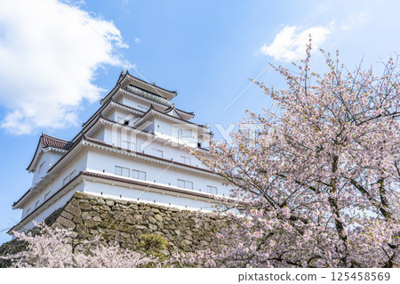 Cherry blossoms in full bloom and Tsuruga Castle (Wakamatsu Castle), Aizuwakamatsu City, Fukushima Prefecture Cherry blossoms in full bloom and Tsuruga Castle (Wakamatsu Castle), Aizuwakamatsu City, Fukushima Prefecture 125458569