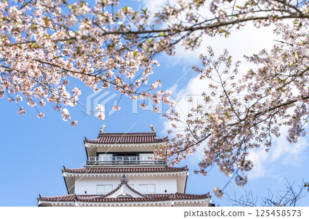 Cherry blossoms in full bloom and Tsuruga Castle (Wakamatsu Castle), Aizuwakamatsu City, Fukushima Prefecture 125458573