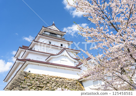Cherry blossoms in full bloom and Tsuruga Castle (Wakamatsu Castle), Aizuwakamatsu City, Fukushima Prefecture 125458581