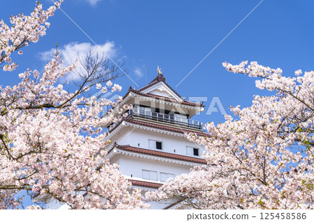 Cherry blossoms in full bloom and Tsuruga Castle (Wakamatsu Castle), Aizuwakamatsu City, Fukushima Prefecture 125458586