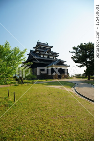 位於島根縣松江市的國寶松江城，在陽光明媚的日子裡，綠意盎然，景色美麗 125459001
