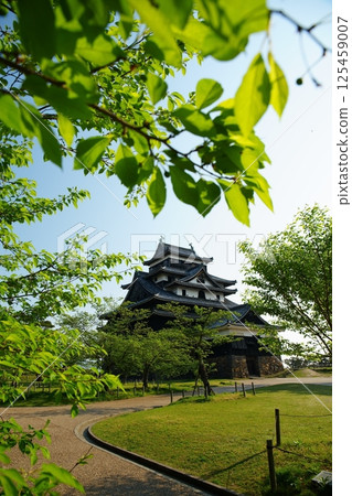 位於島根縣松江市的國寶松江城，在陽光明媚的日子裡，綠意盎然，景色美麗 125459007