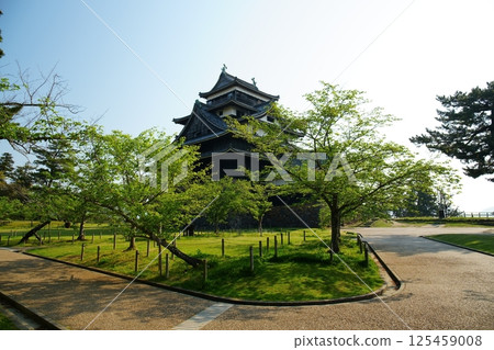 Matsue Castle, a national treasure in Matsue City, Shimane Prefecture, is beautiful with fresh greenery on a sunny day Matsue Castle, a national treasure in Matsue City, Shimane Prefecture, is beautiful with fresh greenery on a sunny day 125459008