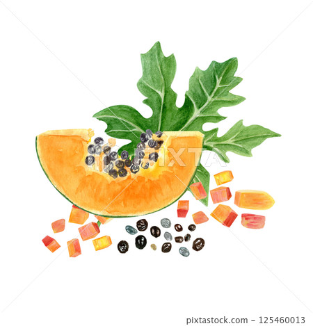 Papaya slice, cubes with seeds and leaves watercolor illustration isolated on white. The hand-painted tropical fruit clip art is perfect for culinary designs, labels, prints, cards, packages menu 125460013