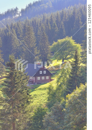 Beautiful mountain cottage in Czech republic 125460095