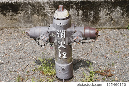 The grey fire hydrant looks like a human. The grey fire hydrant looks like a human. 125460150