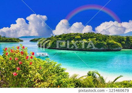 Beautiful coral reef sea in Kabira Bay Beautiful coral reef sea in Kabira Bay 125460679