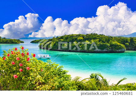 Beautiful coral reef sea in Kabira Bay Beautiful coral reef sea in Kabira Bay 125460681