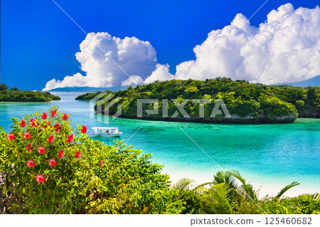 Beautiful coral reef sea in Kabira Bay Beautiful coral reef sea in Kabira Bay 125460682
