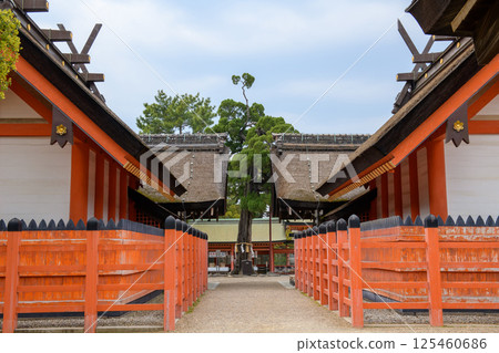 大阪市住吉大社第三、第四本殿及伊吹古貝丘 125460686