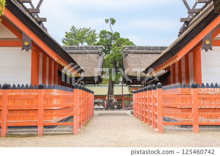 Sumiyoshi Taisha Shrine, Third and Fourth Main Halls and the Ancient Ibuki Shell Mound, Osaka City 125460742