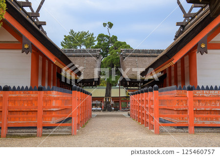 Sumiyoshi Taisha Shrine, Third and Fourth Main Halls and the Ancient Ibuki Shell Mound, Osaka City Sumiyoshi Taisha Shrine, Third and Fourth Main Halls and the Ancient Ibuki Shell Mound, Osaka City 125460757