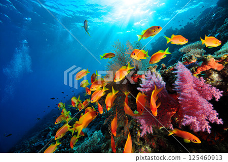 A vibrant underwater scene in a tropical coral reef, featuring a school of bright orange and yellow tropical fish swimming gracefully among colorful corals. The corals are a mix of vivid pink, purple, 125460913