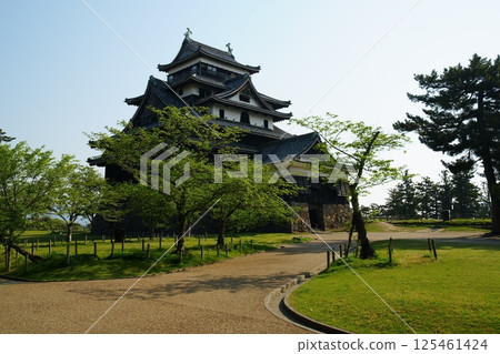 Matsue Castle, a national treasure in Matsue City, Shimane Prefecture, is beautiful with fresh greenery on a sunny day Matsue Castle, a national treasure in Matsue City, Shimane Prefecture, is beautiful with fresh greenery on a sunny day 125461424