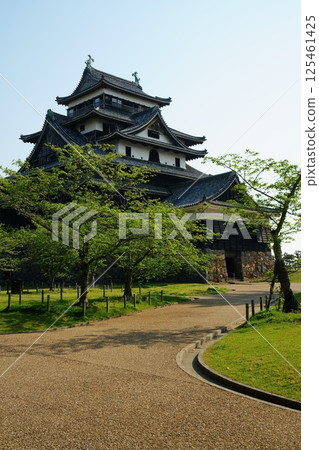 Matsue Castle, a national treasure in Matsue City, Shimane Prefecture, is beautiful with fresh greenery on a sunny day 125461425