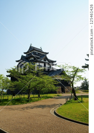 Matsue Castle, a national treasure in Matsue City, Shimane Prefecture, is beautiful with fresh greenery on a sunny day 125461426