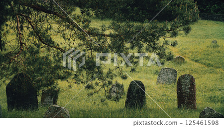 Old ancient Jewish cemetery in summer spring day. green grass and many ancient stones. Headstone Headstones Tombstones jewish grave 125461598