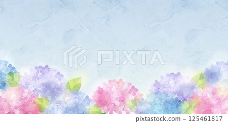 Watercolor illustration of hydrangea, background material Watercolor illustration of hydrangea, background material 125461817
