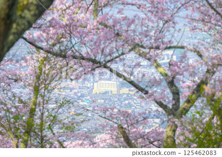 [Mount Kojo] The townscape of Toyoshina, Azumino City as seen from the summit 125462083
