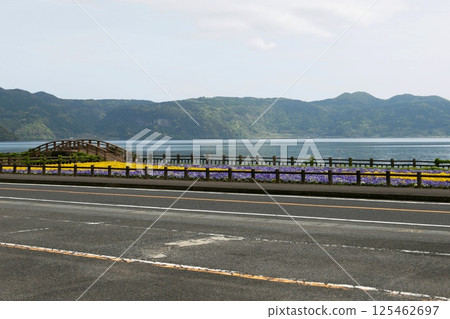 [Ibusuki City, Kirishima-Kinkowan National Park, Prefectural Route 28, "Lake Ikeda" and the flower fields along the lakeside] 125462697