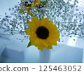 sunflower	 125463052