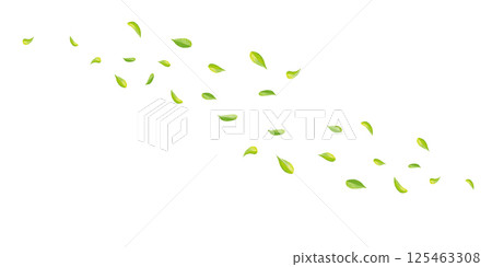 白色背景中，新鮮的綠葉在風中飄揚 125463308